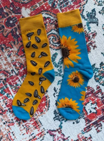 Sunflower Socks + Seeds